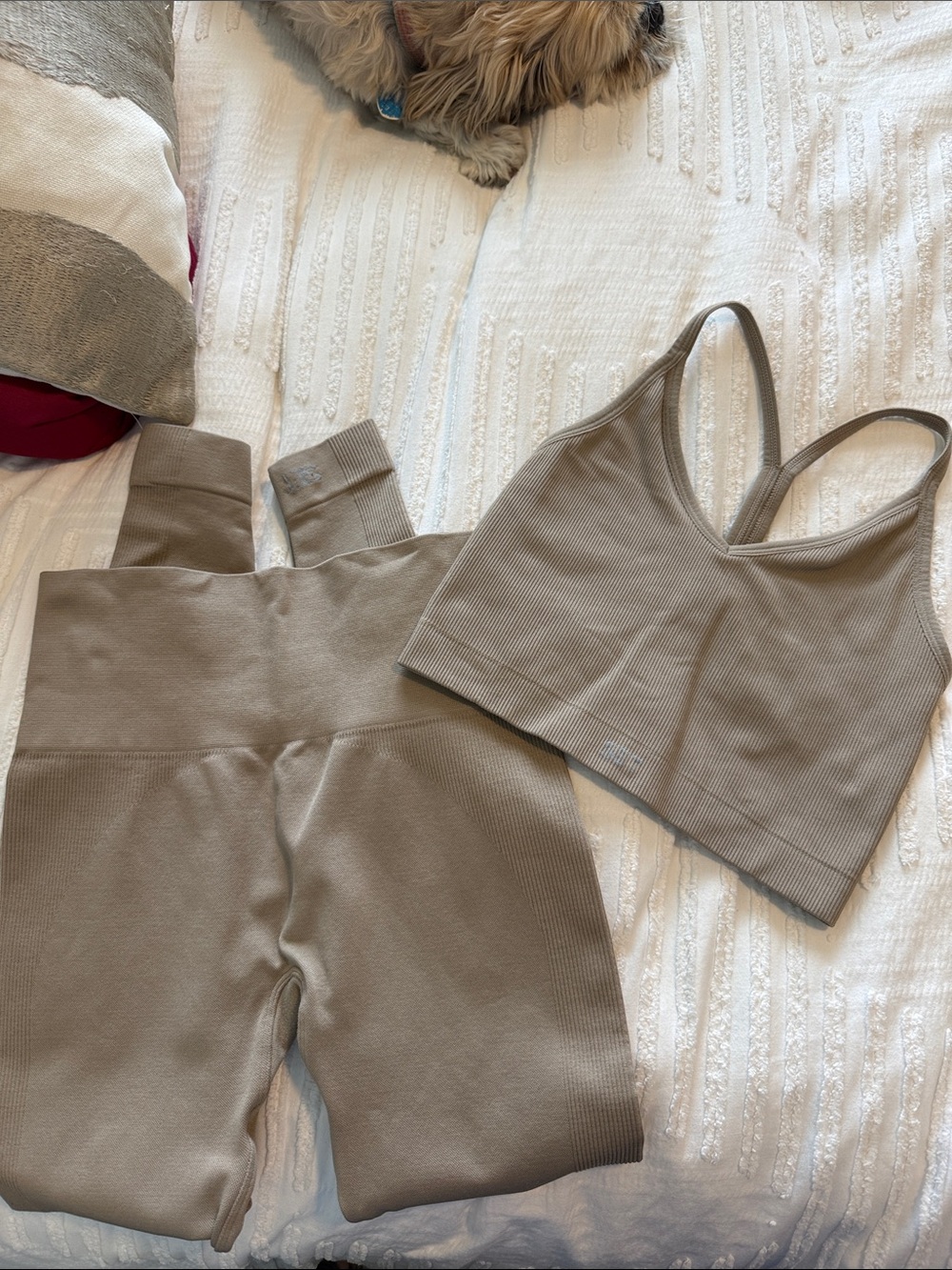 SET Active Taupe Ribbed Seamless Leggings & Crop Top Set